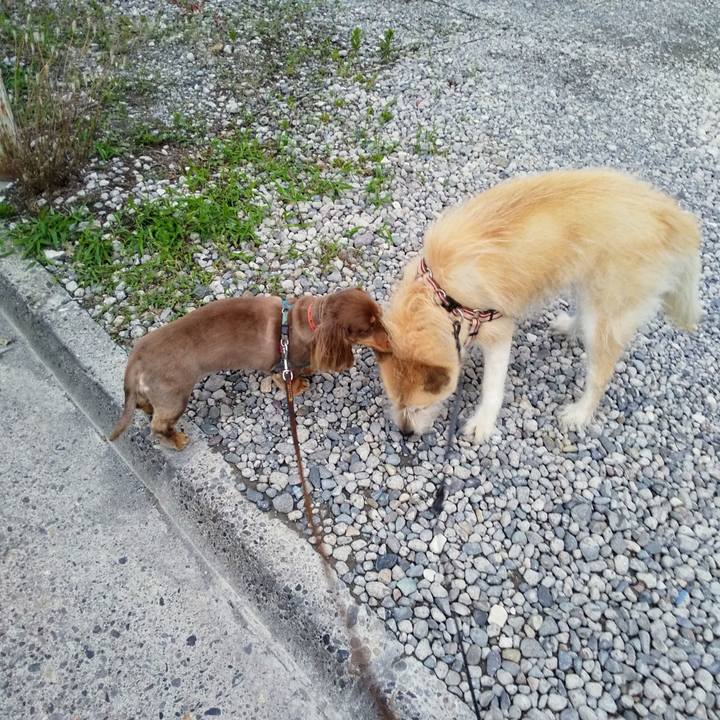 1ac28c68 3804 4f89 ac53 c07750ab94a4 1560345220193