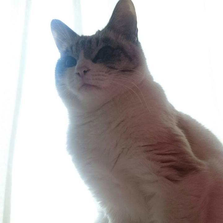 1ac319f6 d13f 49f0 9779 c89848b84d3c 1511740392577