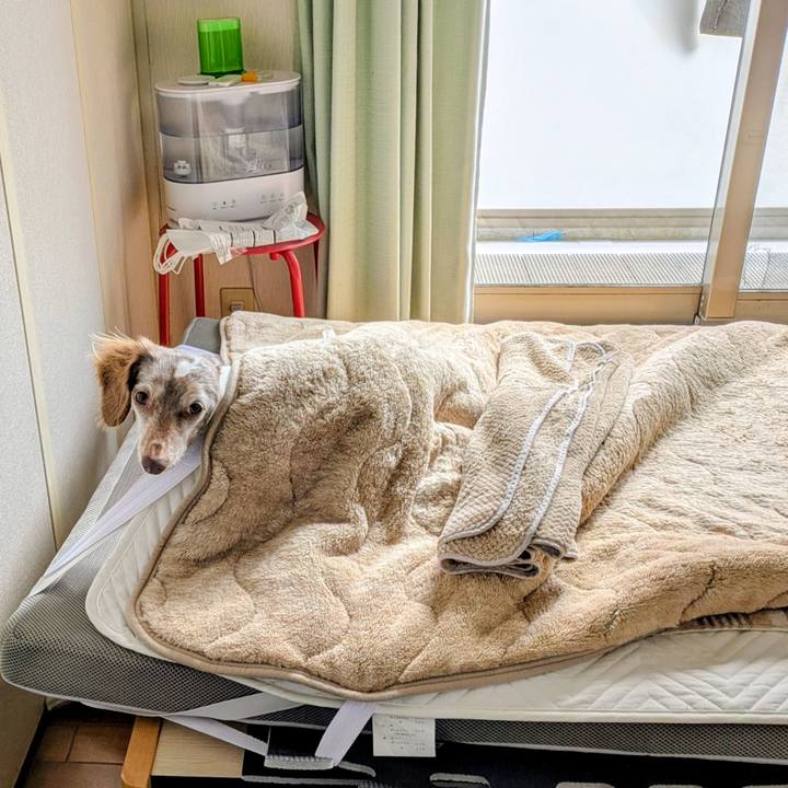 1ac333ff 4e2b 49a5 b628 2b8a180a90a9 1771310859464