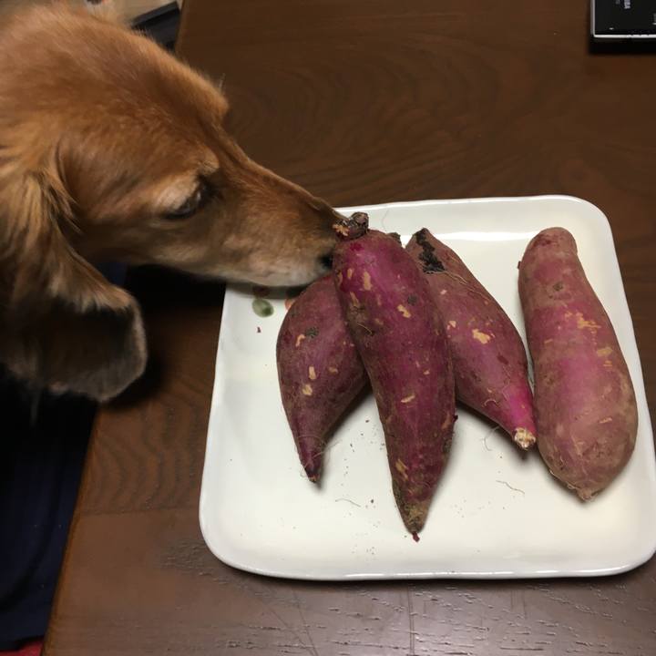 1ac34bc7 84ca 49e1 aae2 7f52ab65721c 1604749765165