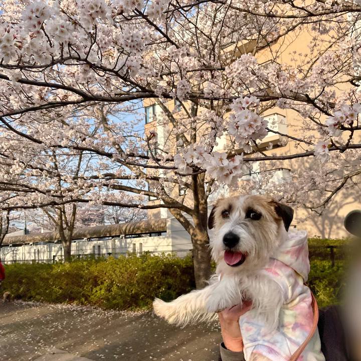 1ac35cd7 fea8 4f84 8081 3e8823bba902 1648904024767