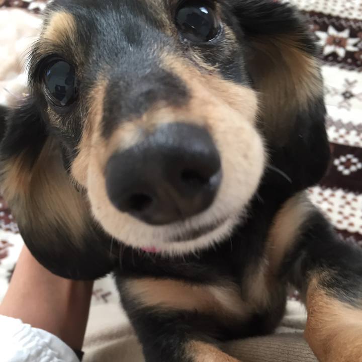 1ac399a1 e5a4 41d7 a5f8 d62971488253 1512907347478