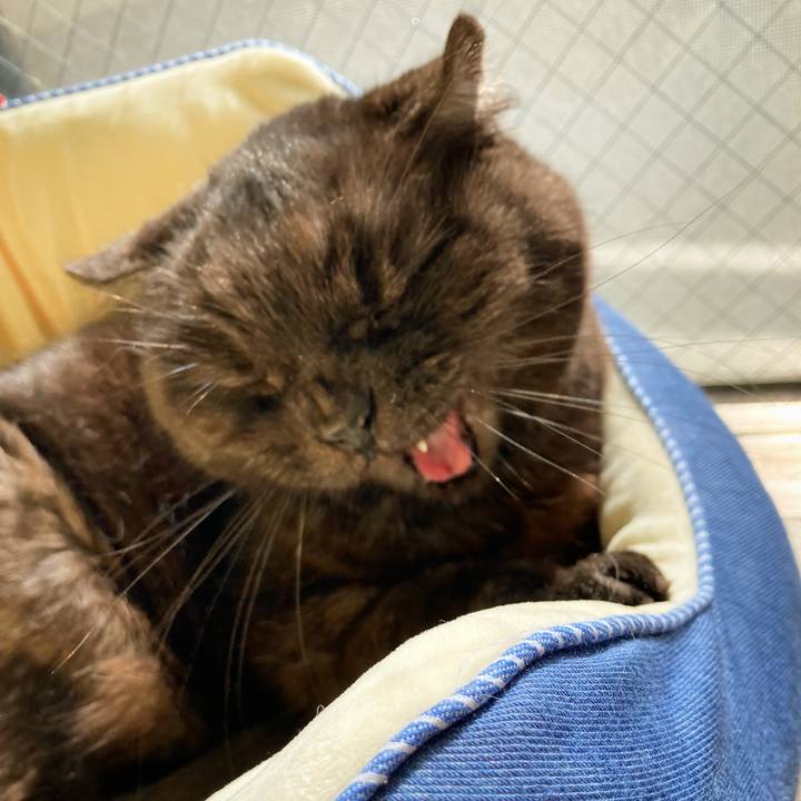 1ac3c89b 49b2 44b1 91c0 19637b14e854 1643687369315