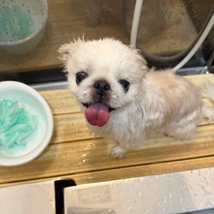 1ac3d44c 74c6 48d2 af5e 2e1a521b1b83 1751705093503