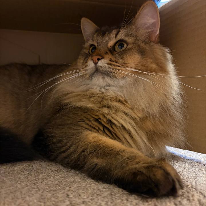 1ac3e33e bbcc 49fd a1da bd98b0b84b33 1762053764035