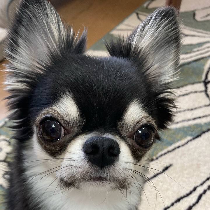 1ac3ff63 b6c2 40c9 9918 3536c31fb5bb 1627082043827