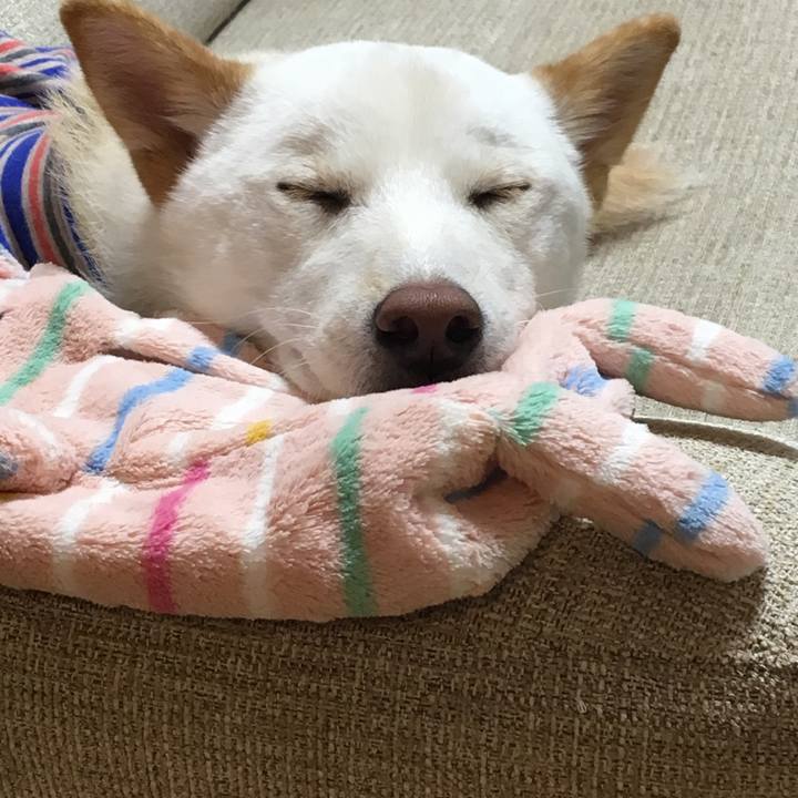 1ac40b18 79f2 4312 9538 3fc9eb0fb29f 1510734341046