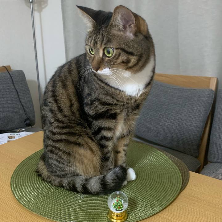 1ac42380 036b 4f5f bc3e 2c6a466203e3 1608818721772