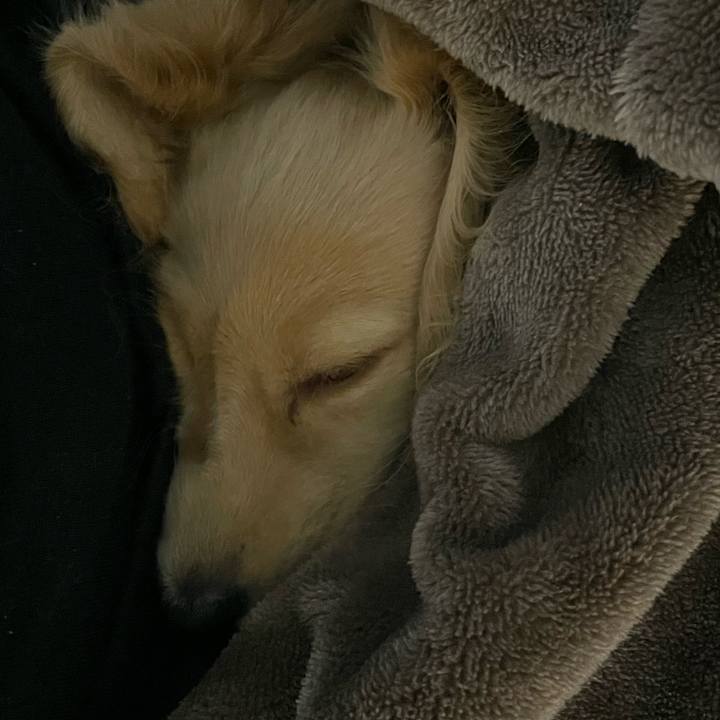 1ac432ff 1e1a 42a0 810e 47ad9590ce59 1666080641944