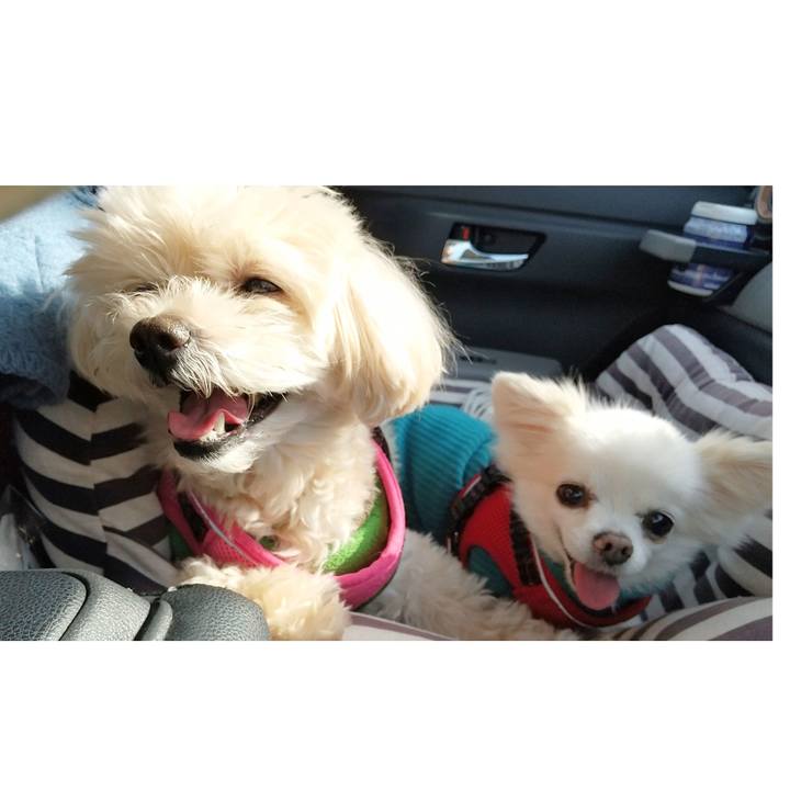 1ac4335f 1034 44a4 a90b 011d32445eca 1648034822914