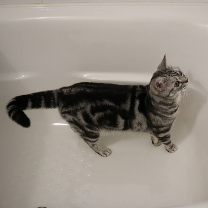 1ac440bc 3069 4239 b76b ea7da4cdbfae 1591865605135