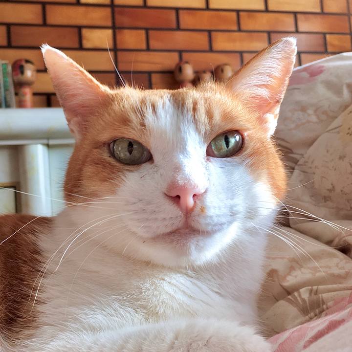 1ac44d20 7787 453b 983d e08ddee7e388 1574229024992