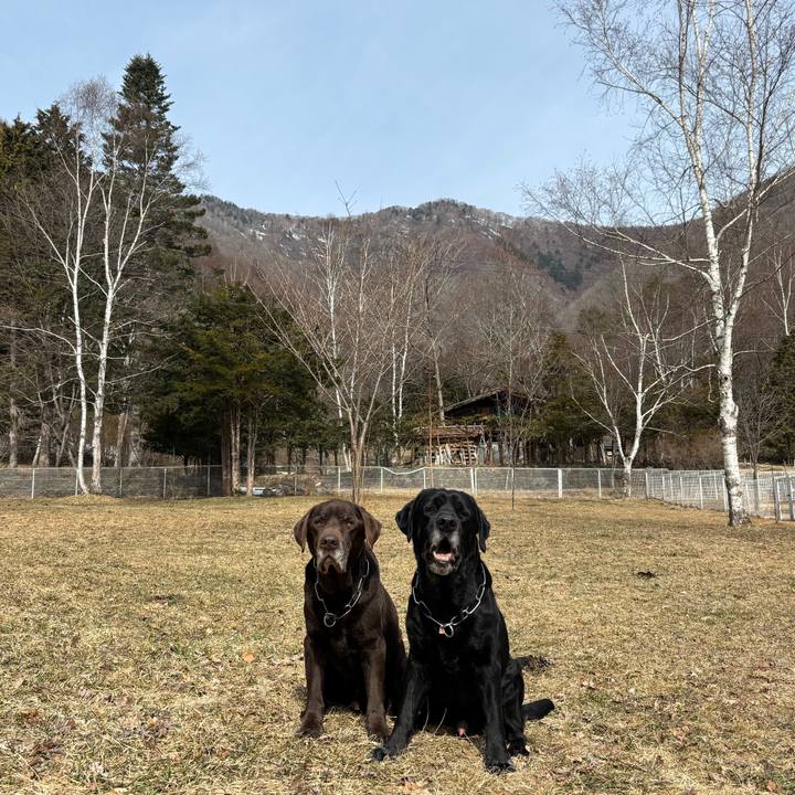 1ac4d3c8 accf 4411 b409 ecfb121bc504 1774183698021