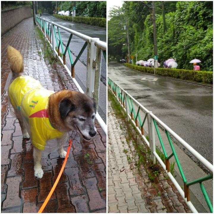 1ac4db62 c680 4eda 8c01 30440272f64f 1562196655968