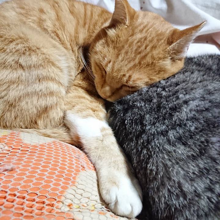 1ac521c6 3c1f 4a41 96be 119d8dc59ffb 1574514400995