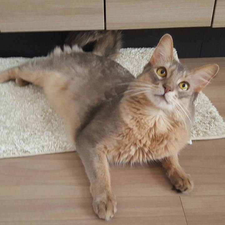 1ac5373b f2d3 4dc2 a0fa 529b8d0d1b68 1531953490918