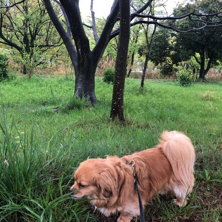 1ac53f57 4ed3 4aa5 b916 9098617f7fdf 1556142095293