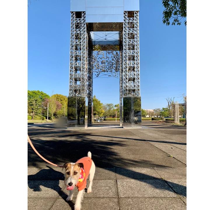 1ac5462d d624 48bb 8926 c7d82243bec3 1681051282140