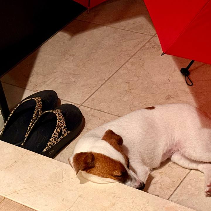 1ac5502a ff5c 4487 b73a 864ef08aa1e1 1752151557831