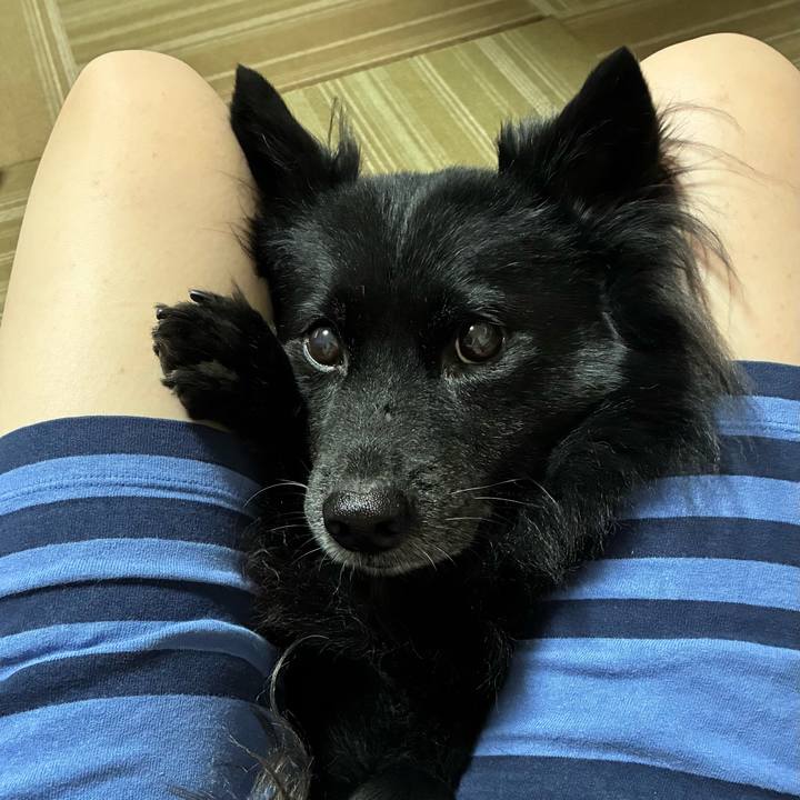 1ac5967a 1371 446c af19 c874734b2a56 1758810451719