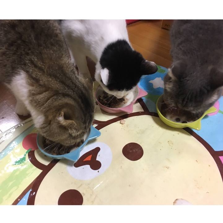 1ac5e368 c066 4b12 af9a 2b35e7443ffd 1543915672950