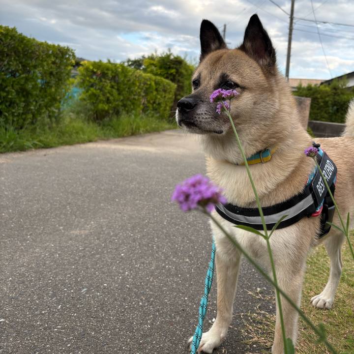 1ac5f370 9f59 4a9e b6b7 d80f1358cf4a 1754482346297