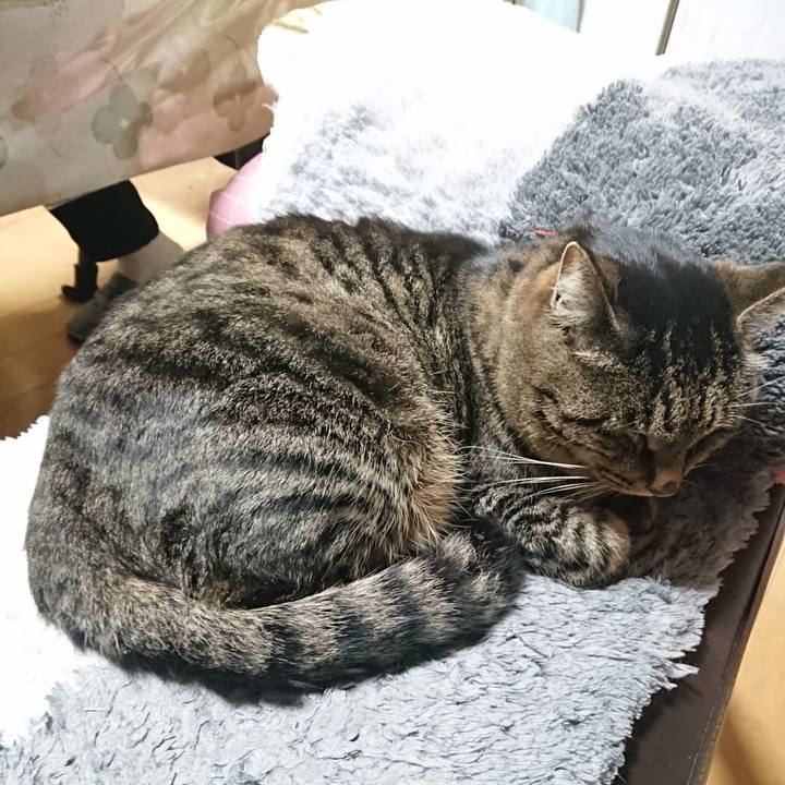 1ac60227 7220 469f 8799 d7a4d5e10db4 1642420433397