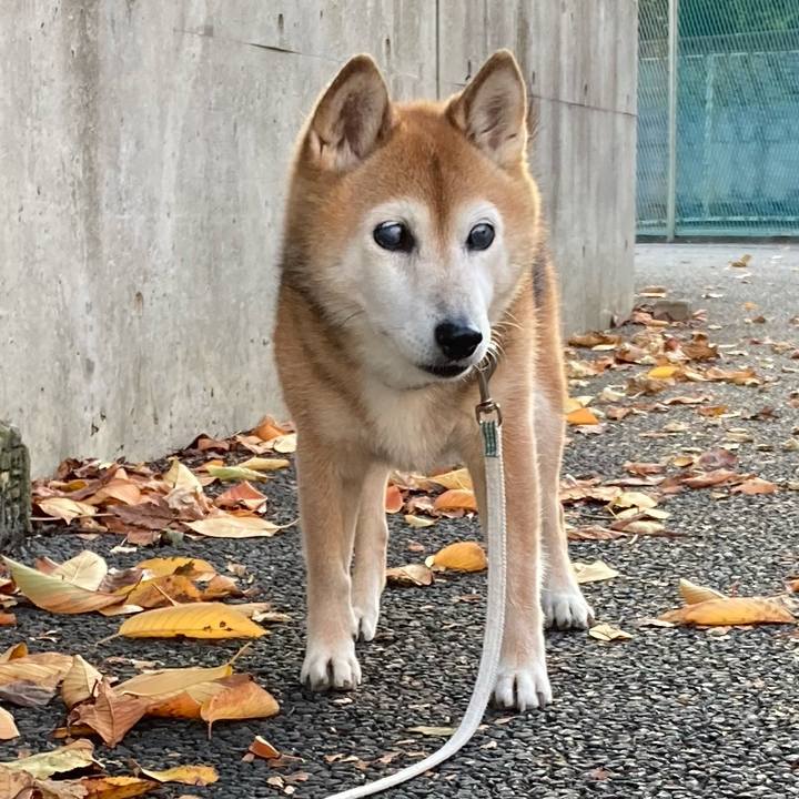 1ac648f0 c545 4c38 b0bc 6ac6431f2709 1758965112172