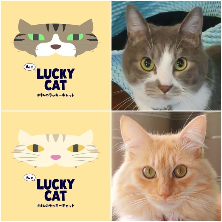 1ac64dd7 ccdd 4bad b37d a649040ce75c 1679390773833