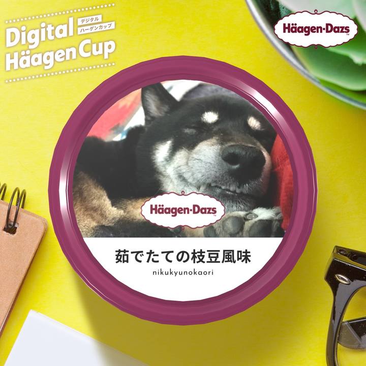 1ac66f50 ceda 4123 8c1d e4c8b5611763 1607617080595