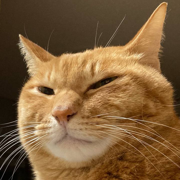 1ac69249 b479 4efb 9ee6 ecfd68b7198d 1769821908798