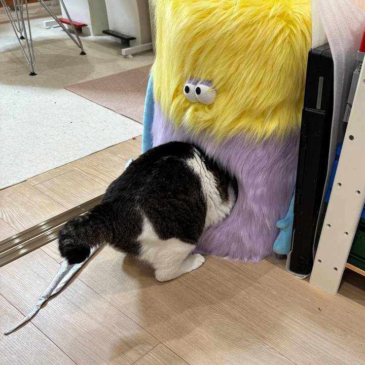 1ac6ae36 aa97 4aae aee8 a1e26a2c83ae 1764848486277