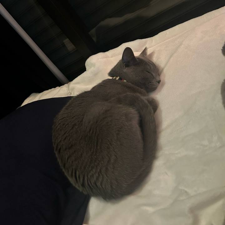 1ac6c80f a08b 4c4c 9510 e6776aaf3b85 1740560267445