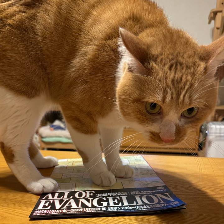 1ac6db2d 5c6d 493a 8fec fe0e154763c3 1766146654753