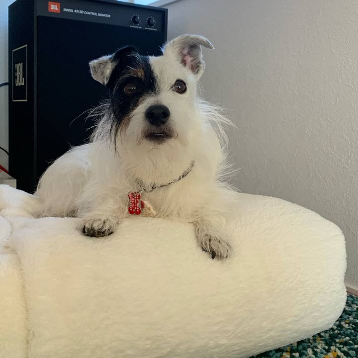 1ac6e888 ec2d 4b9e b84c 686eb5c43108 1691123007327