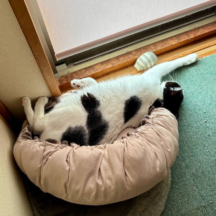 1ac745de 0146 4afe aba1 536b09156f53 1759407042882