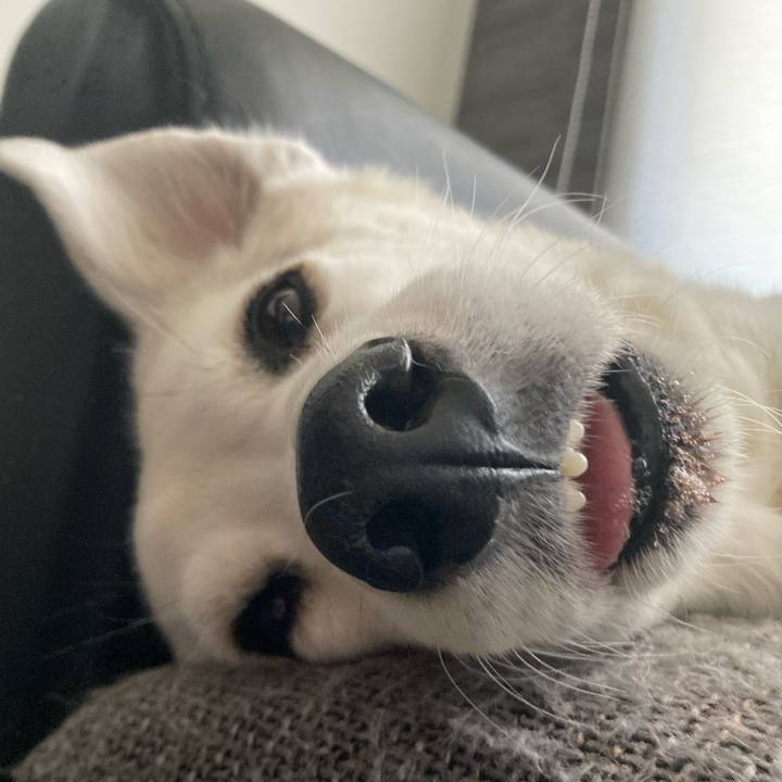 1ac749fb 86da 47ec 95a5 1125900cf12b 1680315866194