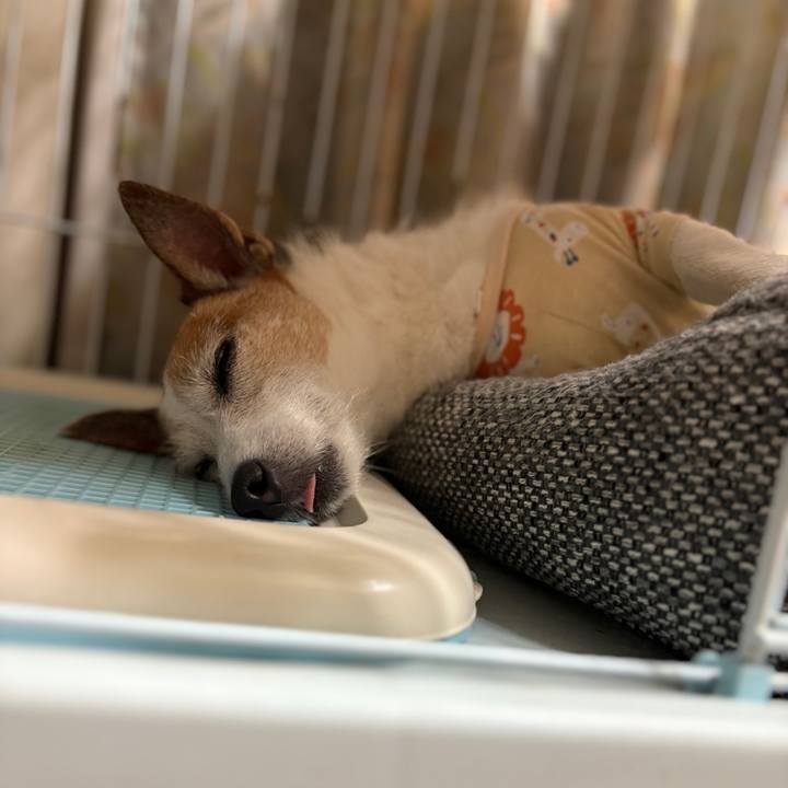 1ac75dba d9d0 404c bc94 5c0897c49a48 1751584622796