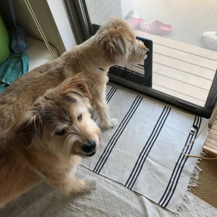 1ac7a682 7822 4b14 93aa e8aa4f1d62ca 1531277883250