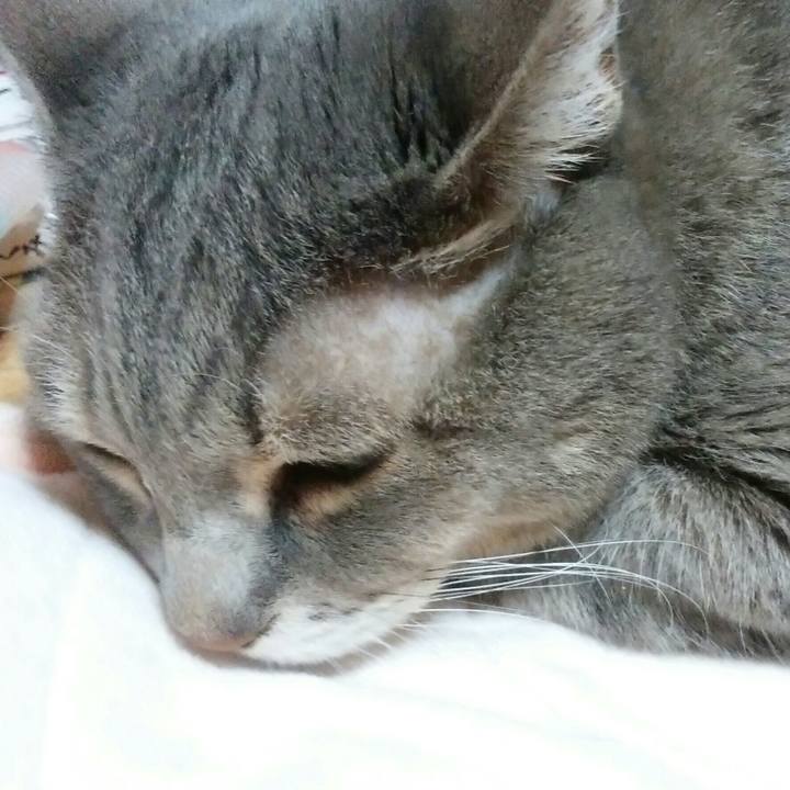 1ac7d198 ba62 4997 b89a a38189c5b5e1 1574092585993