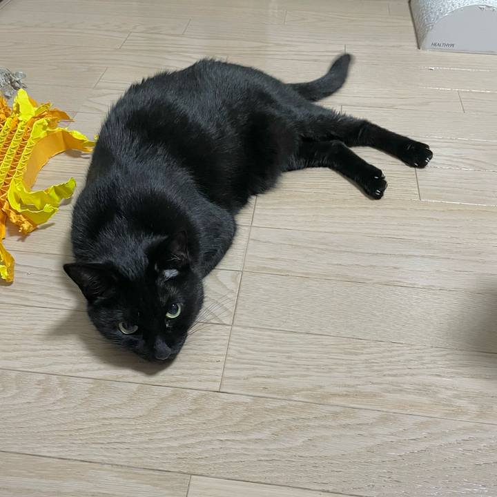 1ac80bbf 6e30 46d4 8777 e6ff588ca090 1702472128150