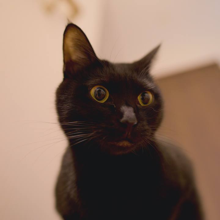 1ac835f9 969e 4acd b7a1 1538f2ebd2fe 1582844155127