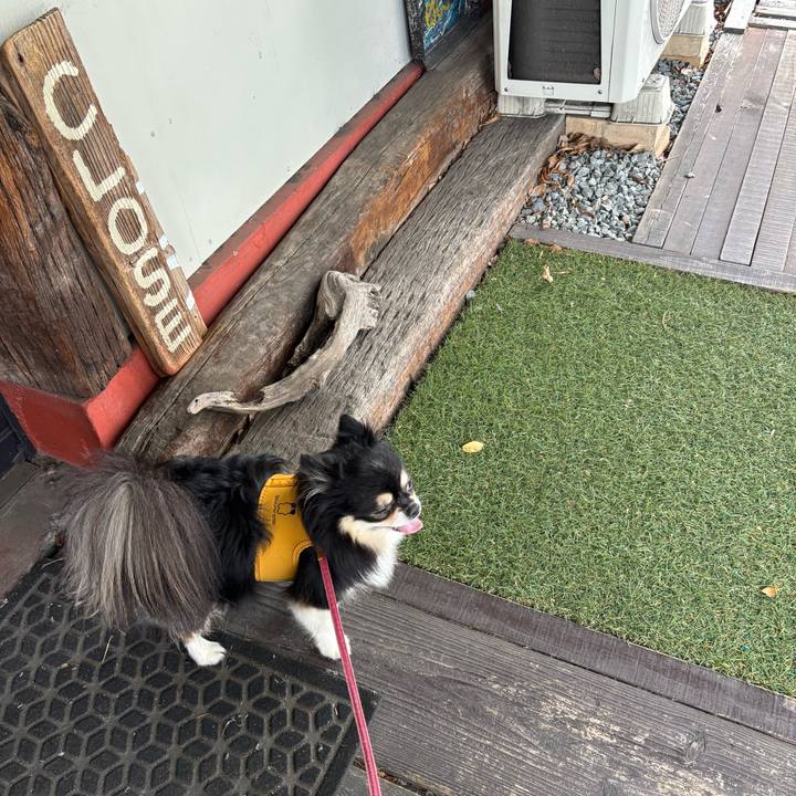 1ac843dc 3f8a 4a70 ab73 387bd49c0dfe 1758854322075