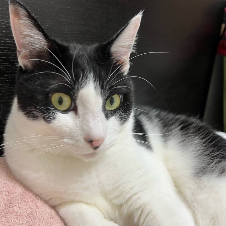 1ac85592 61ba 4fee 9baa 9bf6c06ff5f0 1692047608593