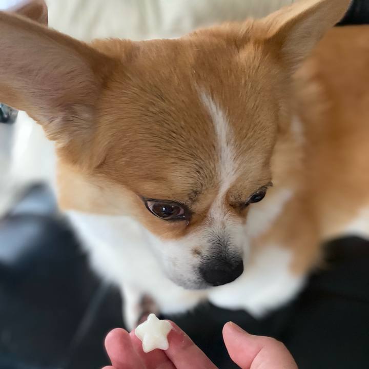 1ac861d7 6521 4c05 a1d8 cdfb537e7f39 1727754947622