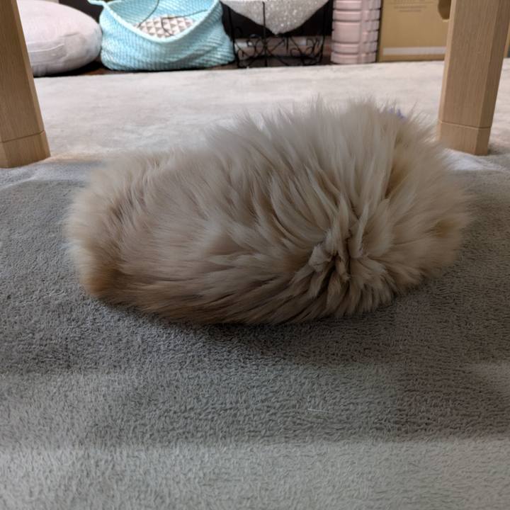 1ac86701 bb44 455a 8ee4 86225d8fe781 1746497326216