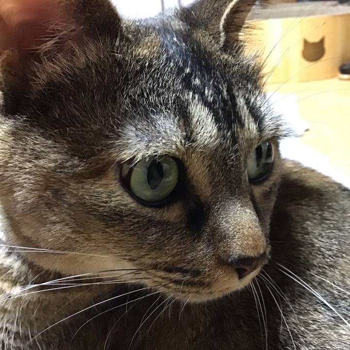 1ac8a830 3094 47ad be06 26251994e9c9 1750426583673