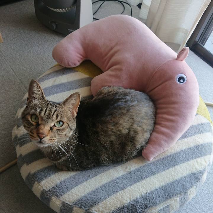 1ac8b7f2 b805 4b1e 8feb 304a51647299 1581390435456