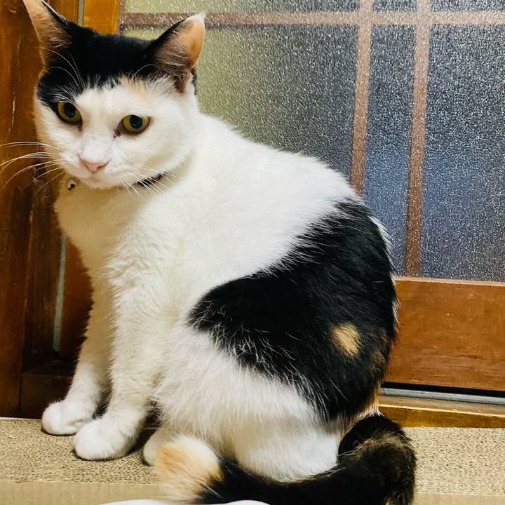 1ac8c94e 1727 4cb7 87ec f206441a9068 1658953355630