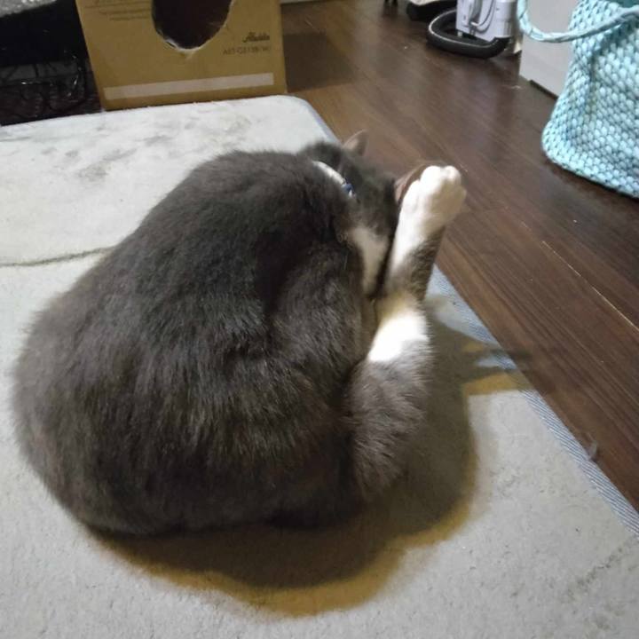 1ac8e3ba 2f65 49dc 839c d53af09fd01f 1693997865939